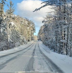 Meet your Posher, Steve